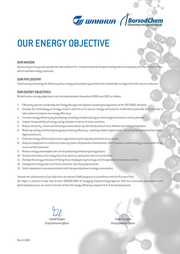Our Energy Objective