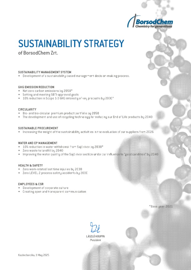 Our Sustainability Strategy