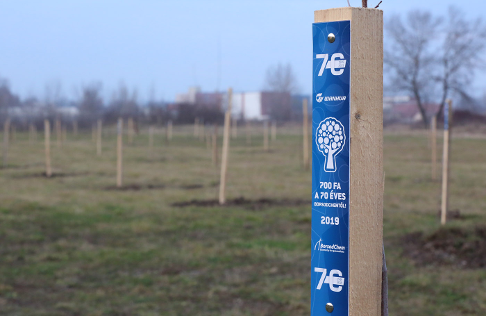 700 fa a 70 éves BorsodChemtől