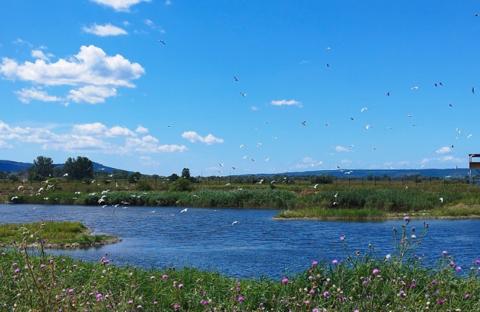 Története eddigi egyik legnagyobb rekultivációs projektjét zárta a BorsodChem Zrt.